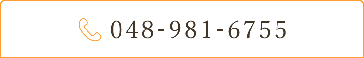 048-981-6755